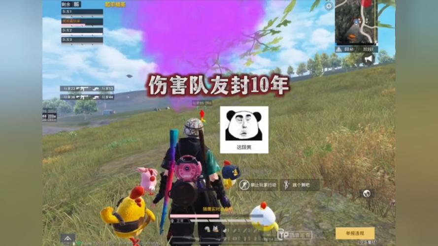 和平精英辅助【内部G简洁版】